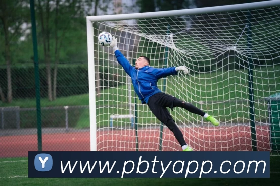 平博体育app发展历程